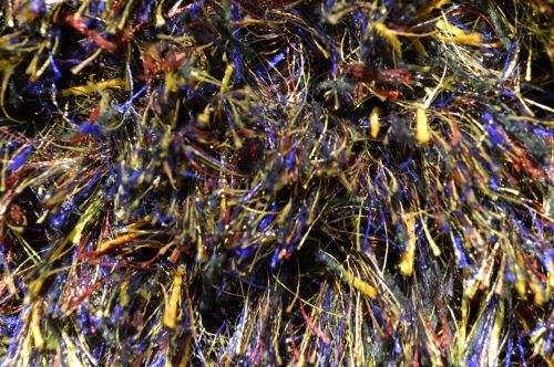 Shaggy Parma 2232 blue