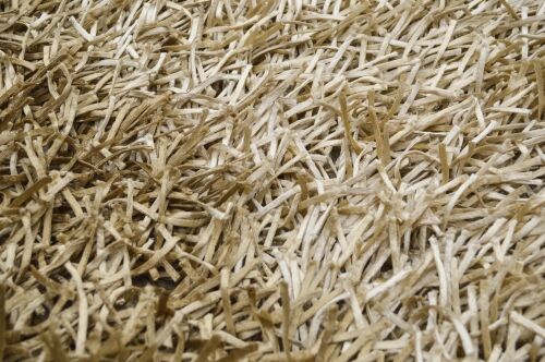 Shaggy Chips stripe beige
