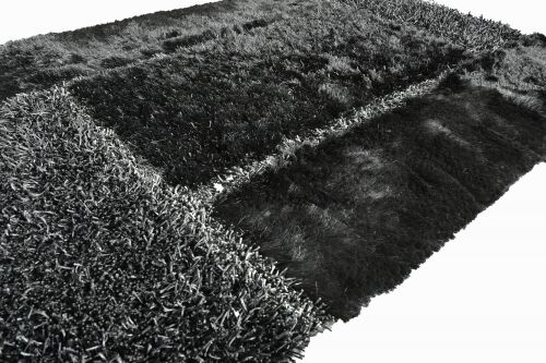 Shaggy Luda Chips black