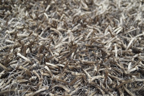 Shaggy Funny antrazit