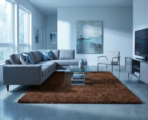 Shaggy Cesar chocolate