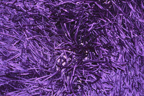 Shaggy Roma violet