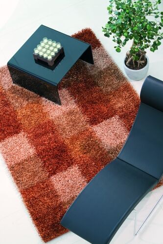 Shaggy Mali Dori 113 terra