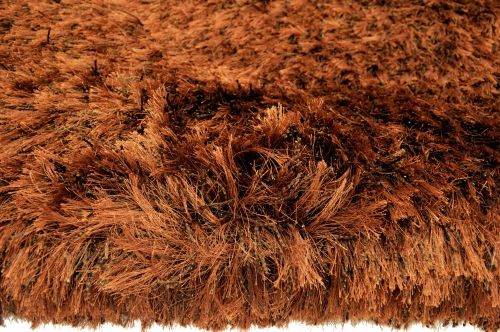 Shaggy New cobra brown